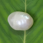 4.25/CT Natural Keshi Pearl
